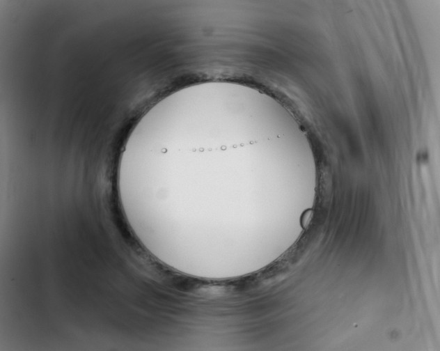 X0000103240499200808281037