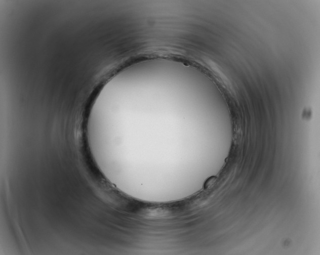 X0000103240500200808281037