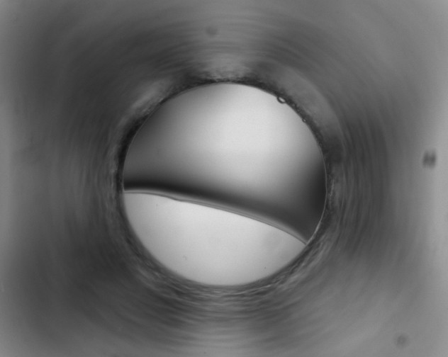 X0000103240501200808281037