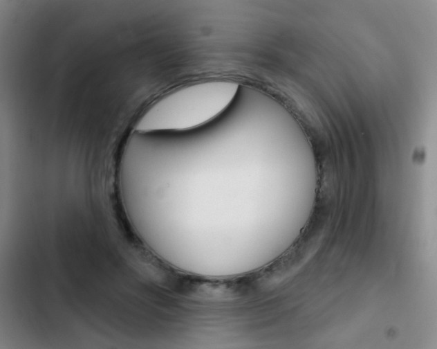 X0000103240502200808281037