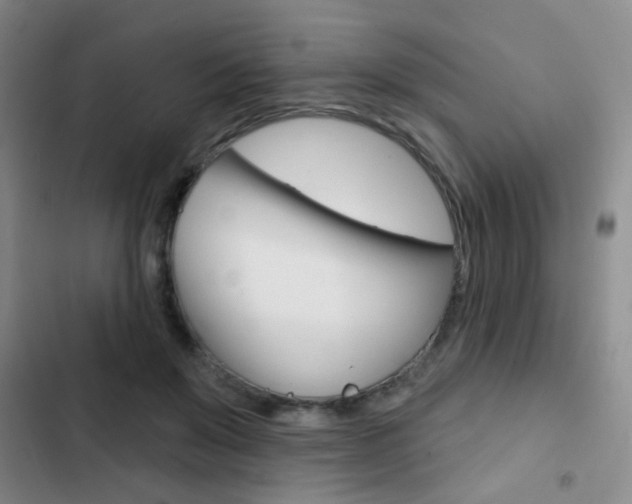 X0000103240503200808281036