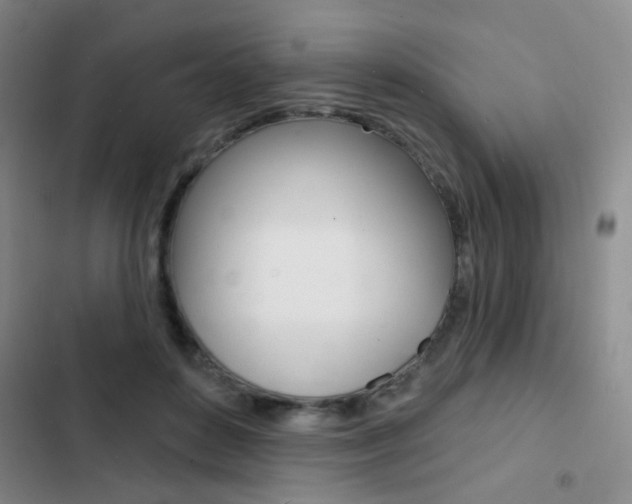 X0000103240504200808281036