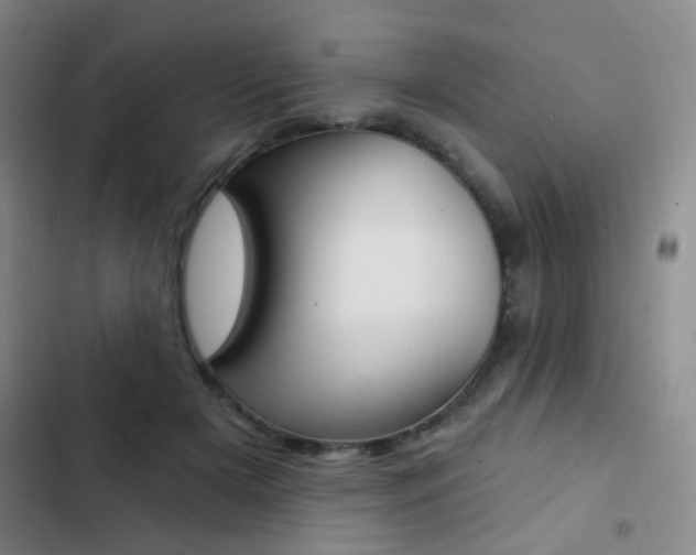 X0000103240505200808281036