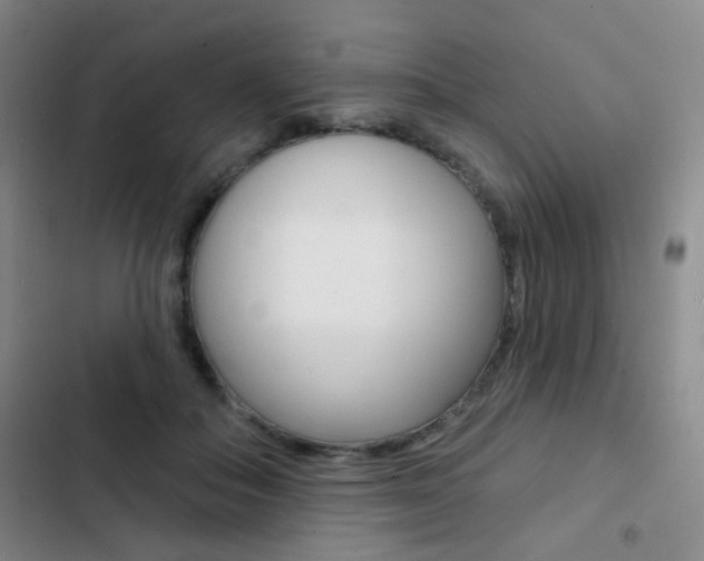 X0000103240506200808281036