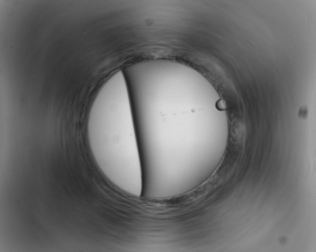 X0000103240507200808281036