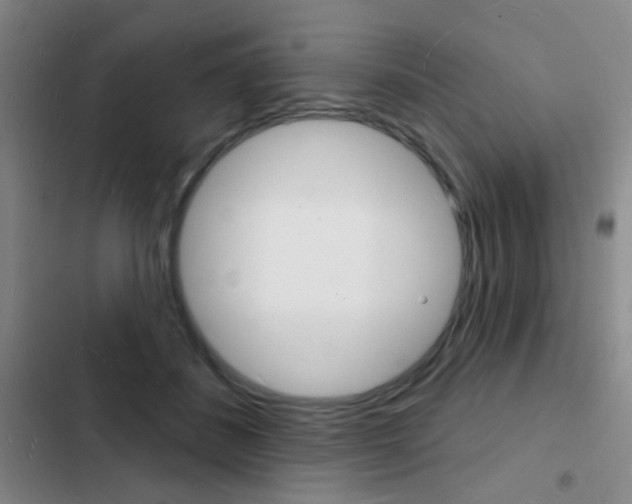 X0000103240508200808281036