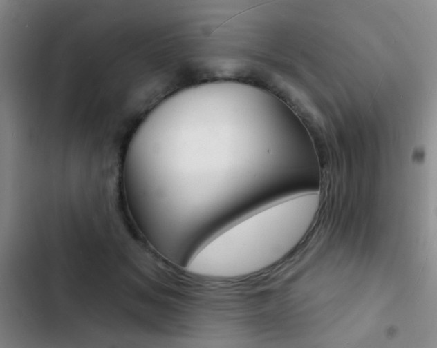 X0000103240509200808281036