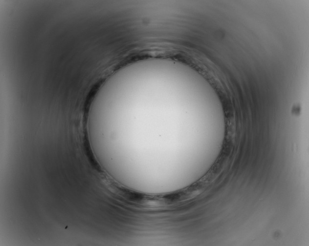X0000103240510200808281036