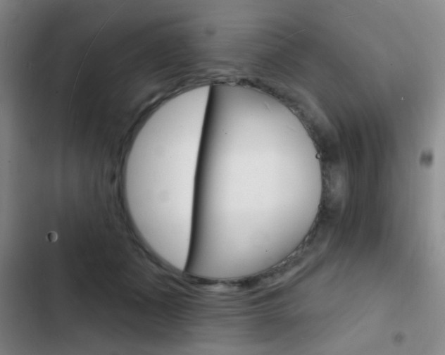X0000103240511200808281036
