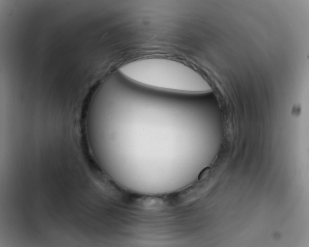 X0000103240512200808281036