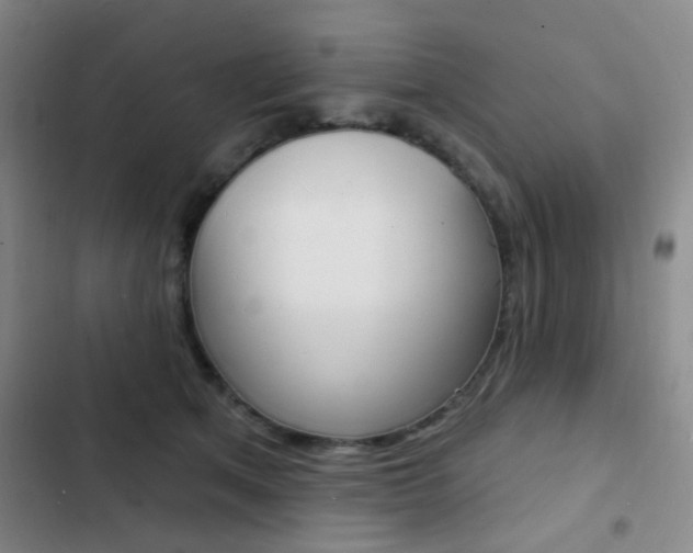 X0000103240513200808281036