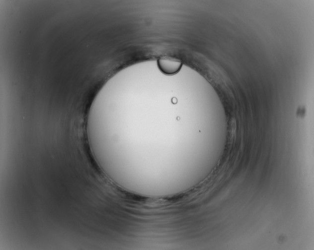 X0000103240514200808281036