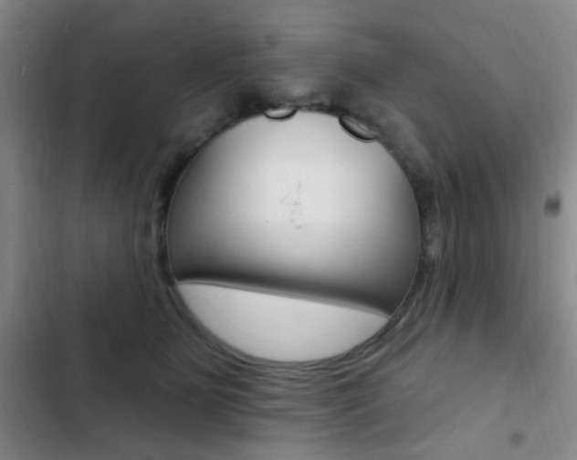 X0000103240515200808281036