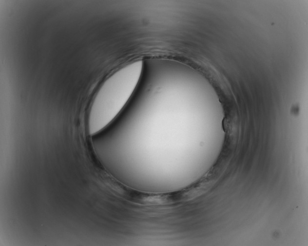 X0000103240516200808281036