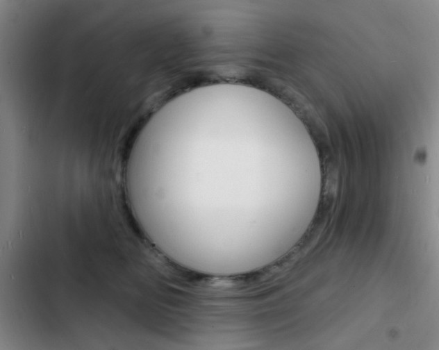 X0000103240518200808281036