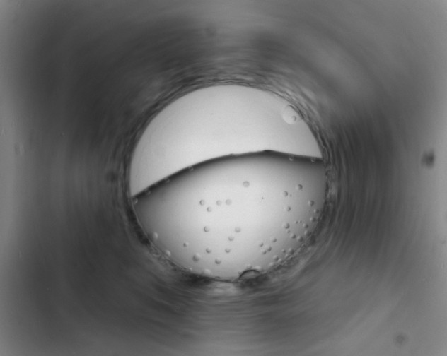 X0000103240519200808281036