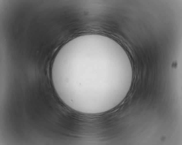 X0000103240520200808281036