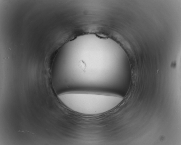 X0000103240521200808281036