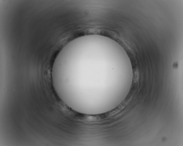 X0000103240522200808281036