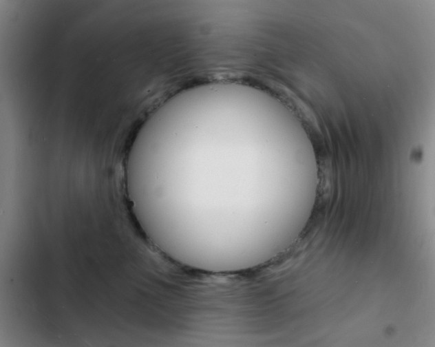 X0000103240523200808281036