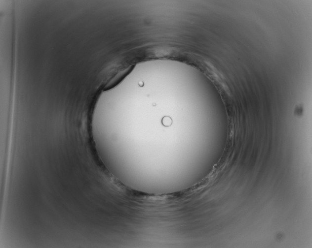 X0000103240524200808281036