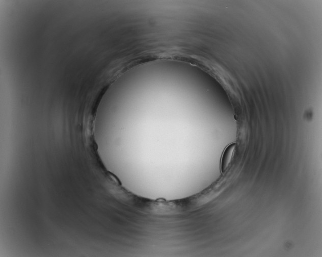 X0000103240525200808281036