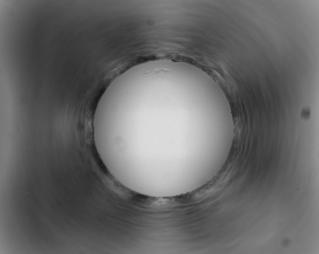 X0000103240527200808281036