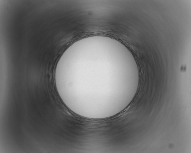 X0000103240528200808281036