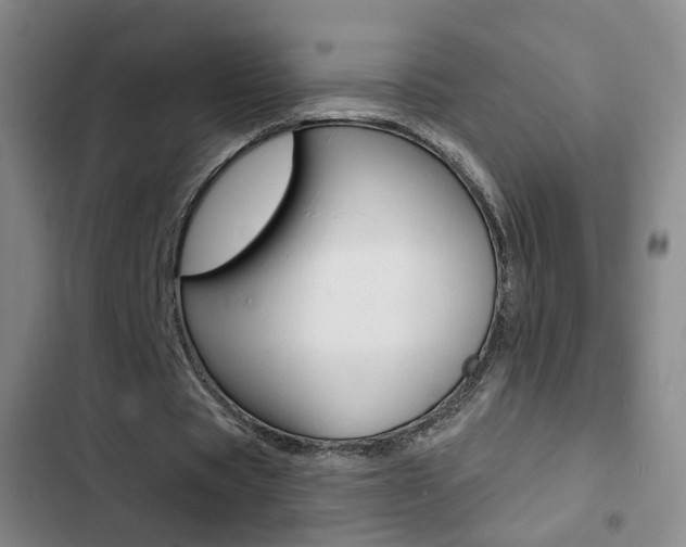 X0000103240529200808281035