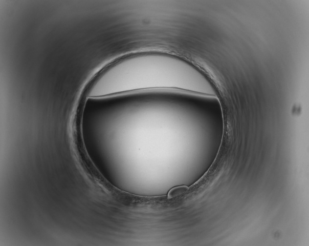 X0000103240532200808281036