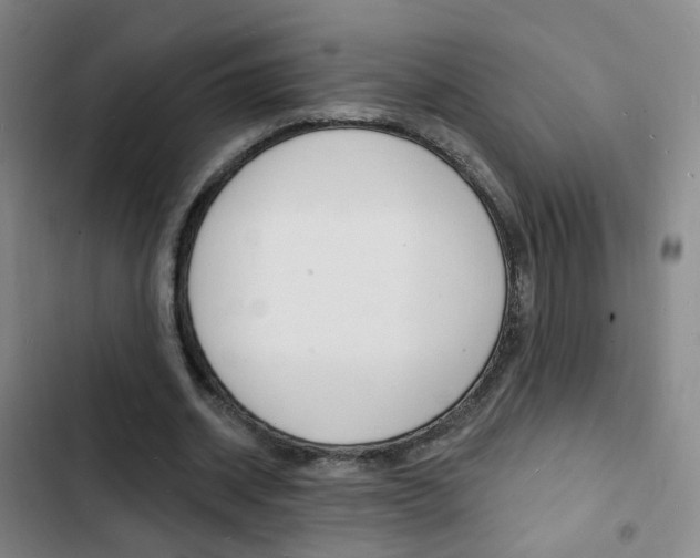 X0000103240534200808281036