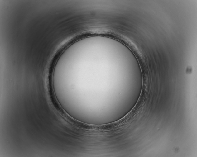 X0000103240535200808281036