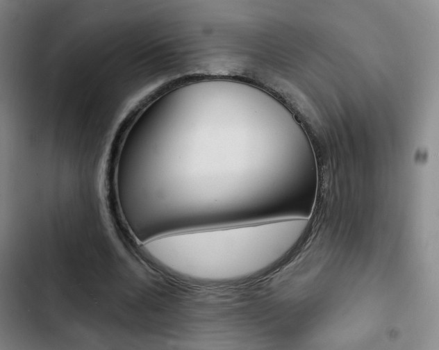 X0000103240536200808281036
