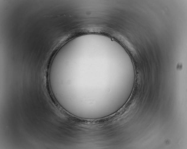 X0000103240537200808281036