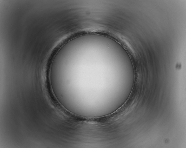 X0000103240539200808281036