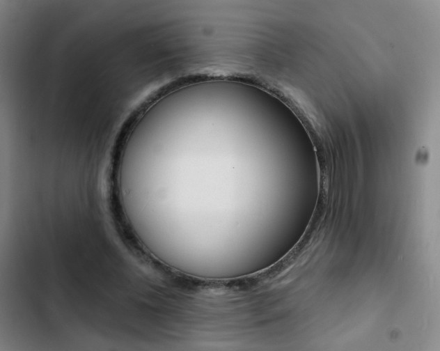 X0000103240540200808281036