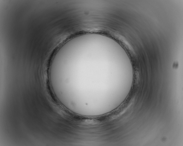 X0000103240541200808281036