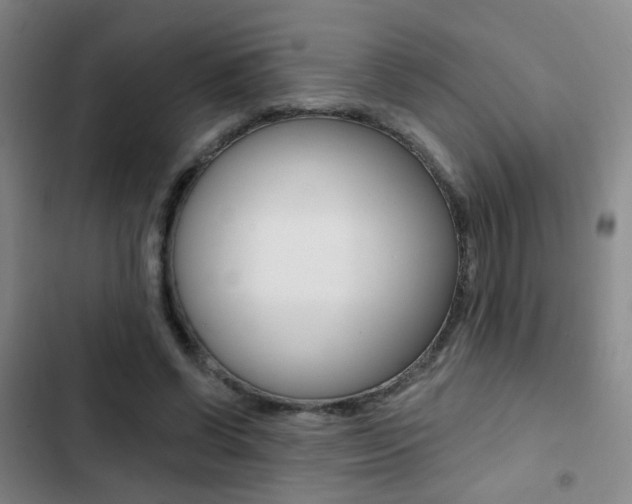 X0000103240542200808281036