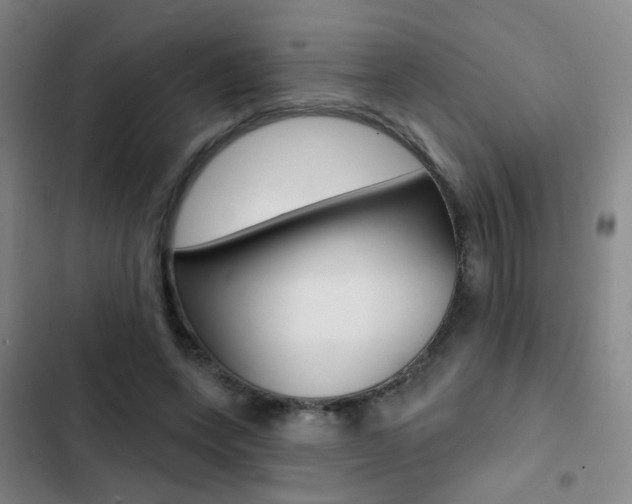 X0000103240543200808281036