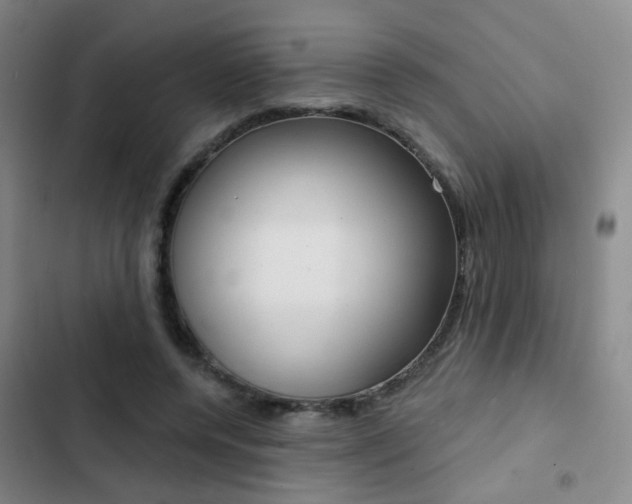 X0000103240544200808281036