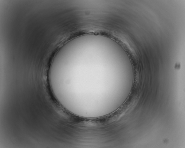 X0000103240545200808281036