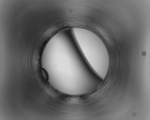 X0000103240548200808281036