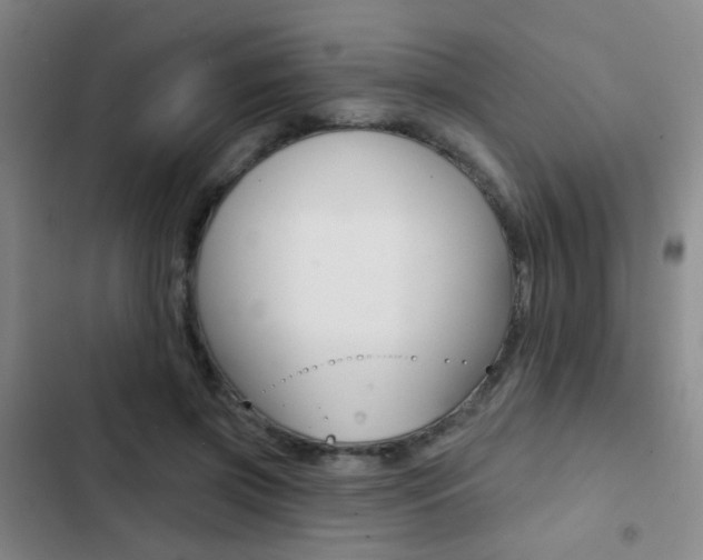 X0000103240549200808281036
