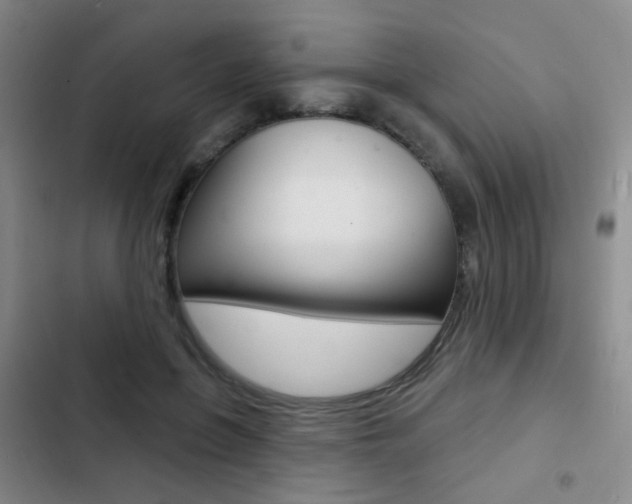 X0000103240551200808281036