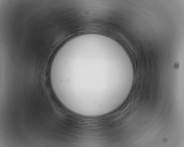 X0000103240552200808281036