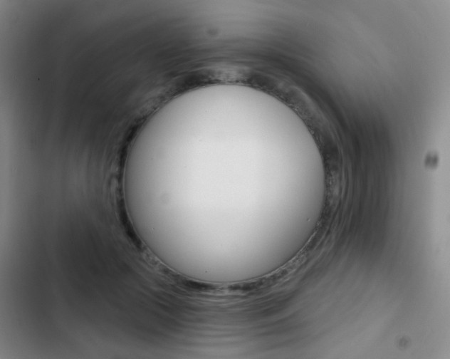 X0000103240553200808281036