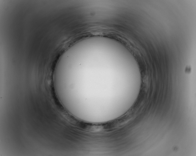 X0000103240554200808281036