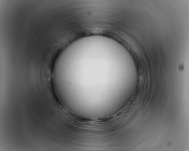 X0000103240555200808281036