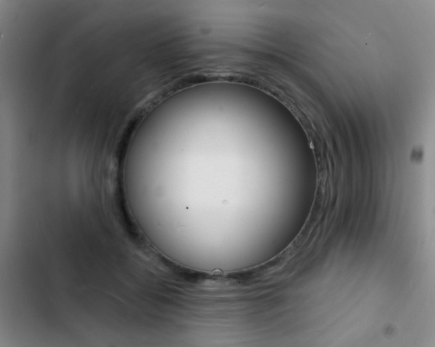 X0000103240556200808281036