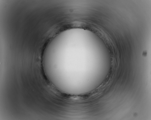 X0000103240557200808281036
